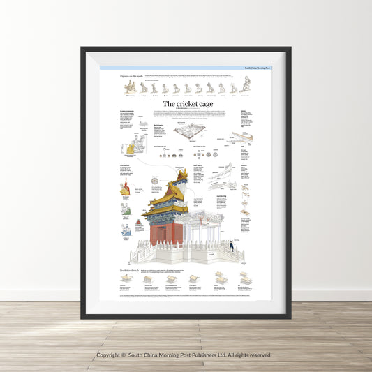 Infographics - The Cricket Cage