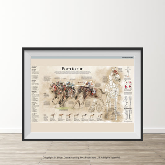 Infographics - Born to run