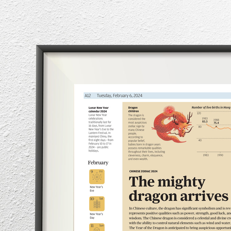 Infographics - All you need to know about dragons