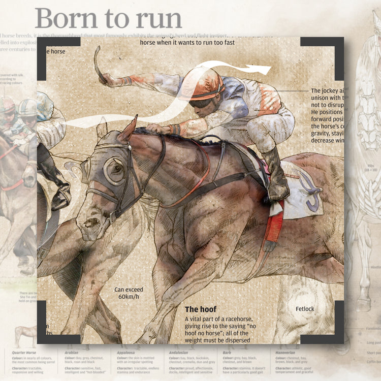 Infographics - Born to run