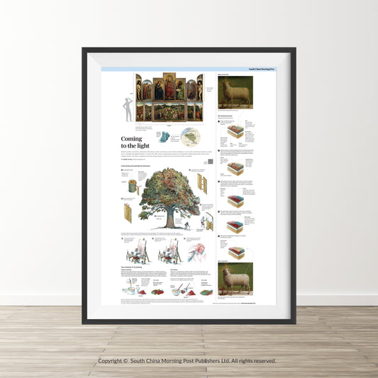 Infographics - Coming to the light