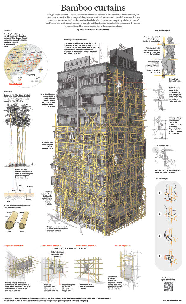Infographics - Bamboo Curtains