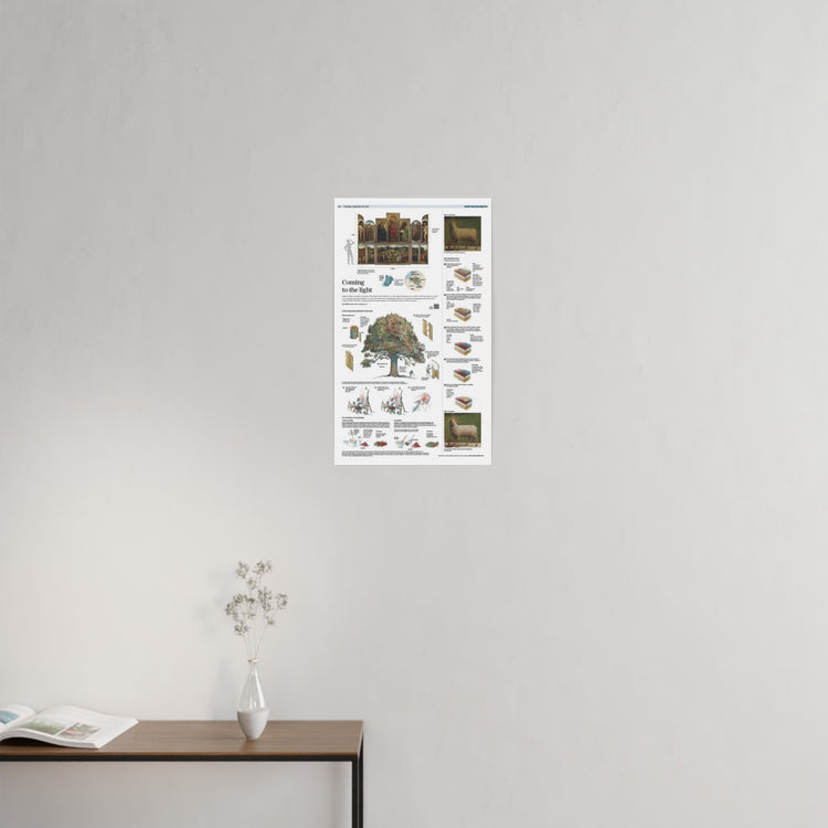 Infographics - Coming to the light