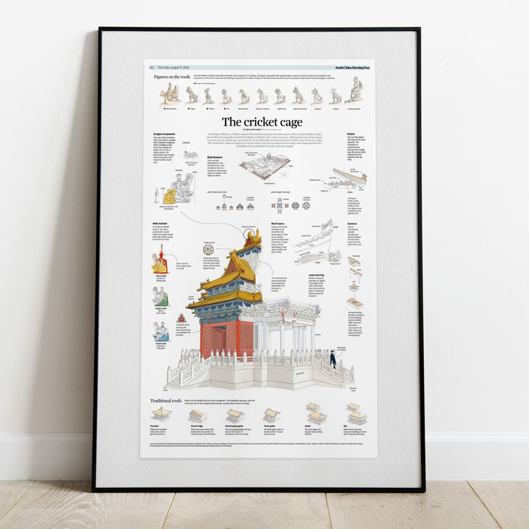 Infographics - The Cricket Cage