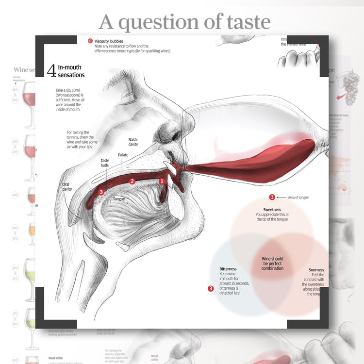 Infographics - A question of taste