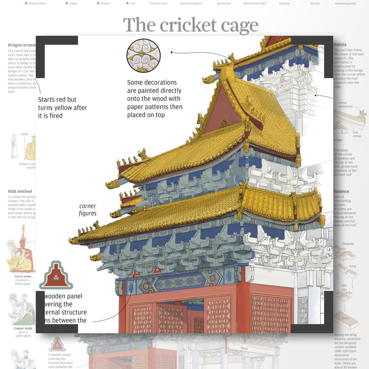 Infographics - The Cricket Cage
