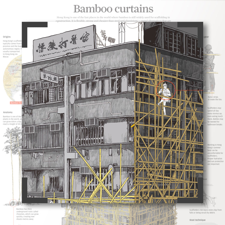 Infographics - Bamboo Curtains