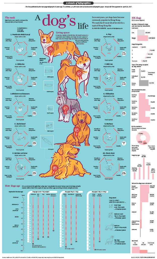 Infographics - A dog's life